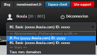 Acces Plesk mutualise 05.png